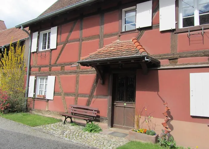 Lumineux Pres De Colmar - Pour 7 Pers. - Fr-1-744-55 * Jebsheim