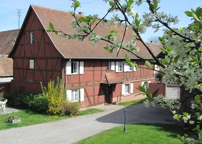 Lumineux Pres De Colmar - Pour 7 Pers. - Fr-1-744-55 Jebsheim