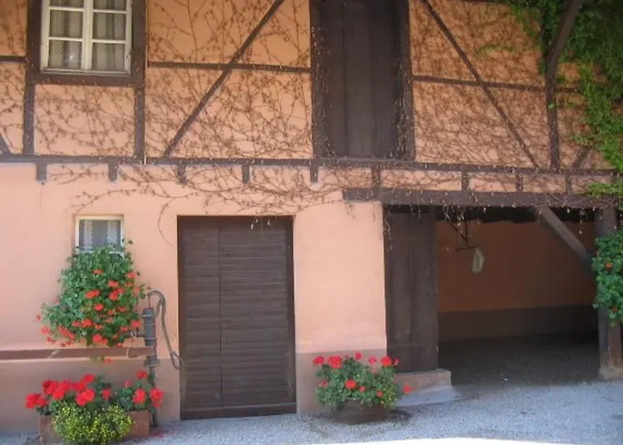 Lumineux Pres De Colmar - Pour 7 Pers. - Fr-1-744-55 بيت للعطل Jebsheim