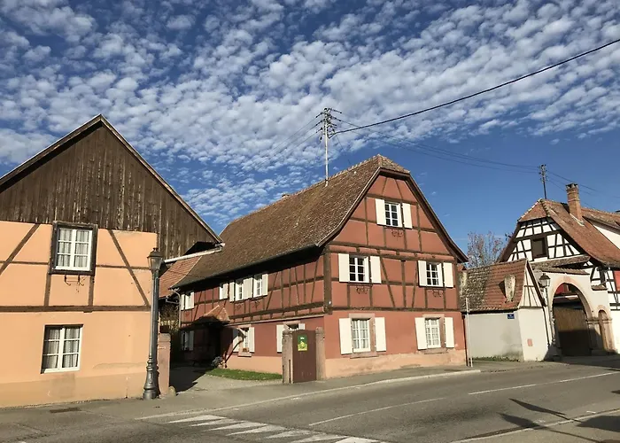 Lumineux Pres De Colmar - Pour 7 Pers. - Fr-1-744-55 *