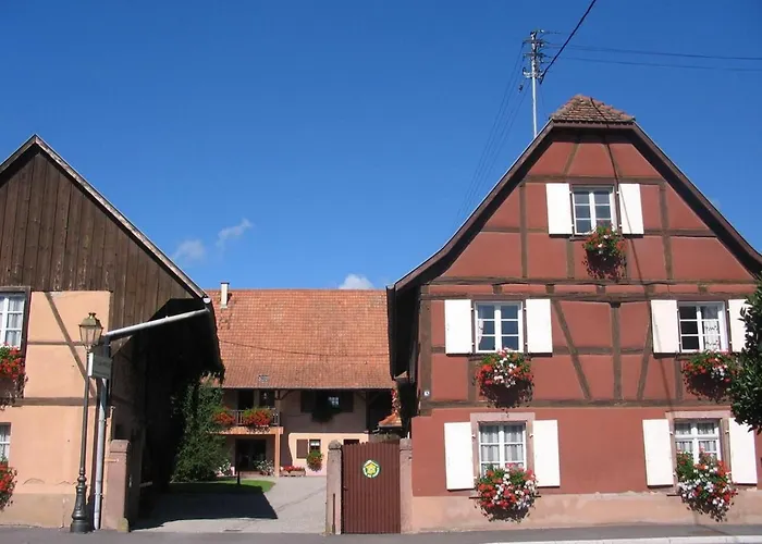 Lumineux Pres De Colmar - Pour 7 Pers. - Fr-1-744-55