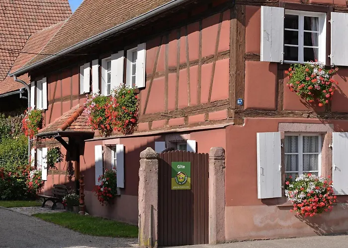 Lumineux Pres De Colmar - Pour 7 Pers. - Fr-1-744-55 بيت للعطل