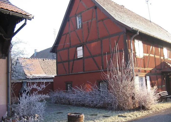 Lumineux Pres De Colmar - Pour 7 Pers. - Fr-1-744-55 Jebsheim